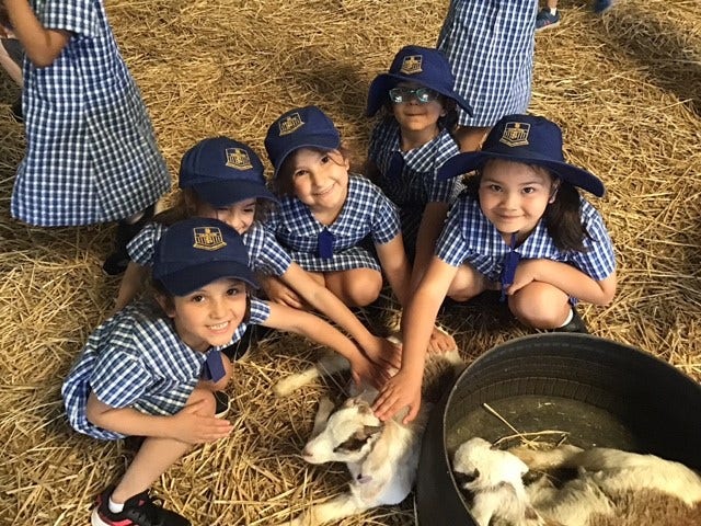 No photo description available.